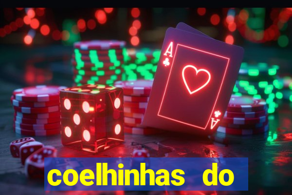 coelhinhas do brasil recife